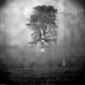 缅甸一级婬片A片金莲
